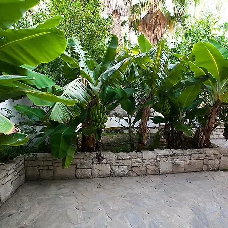 Julia * Platanes (Rethymno)
